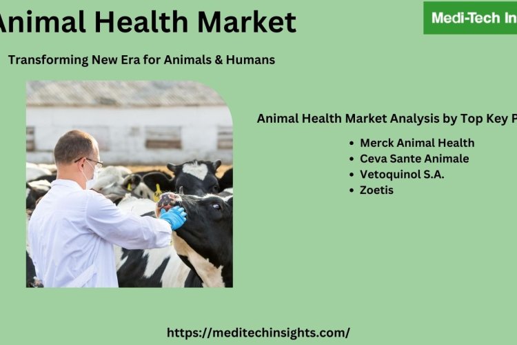 Animal Health Market is projected to increase at a 4GR to reach $49.1 ...